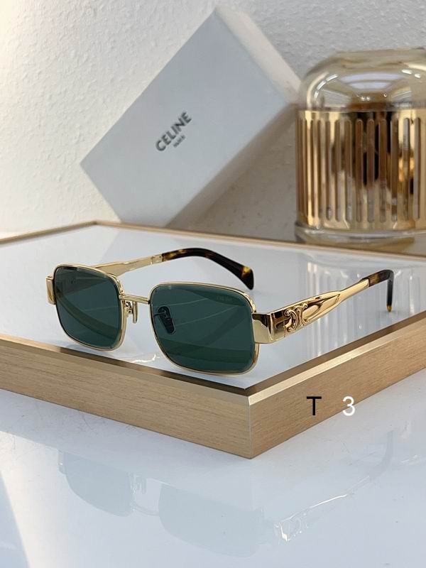 Celine Sunglasses ID:20240804-24